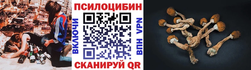 закладка  Нелидово  Галлюциногенные грибы мухоморы 