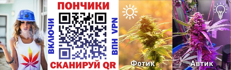 Каннабис семена Нелидово